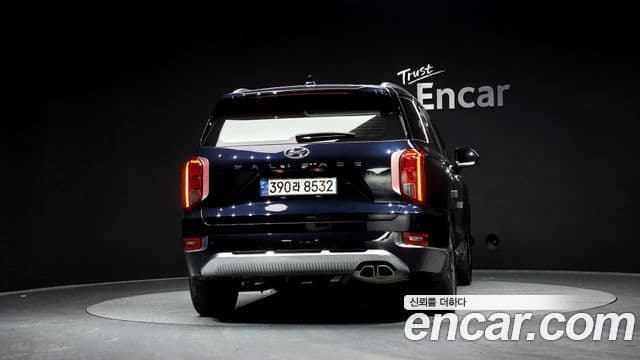 Hyundai Palisade 3