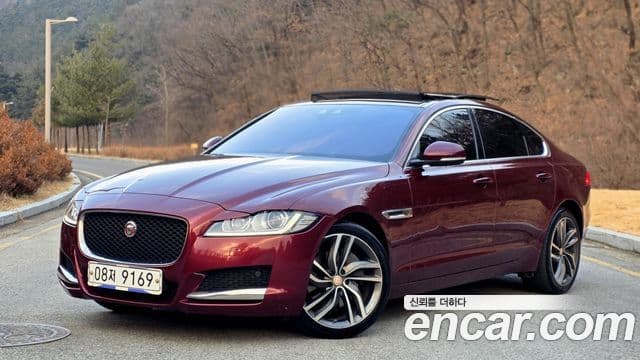 Jaguar XF (X260) 2