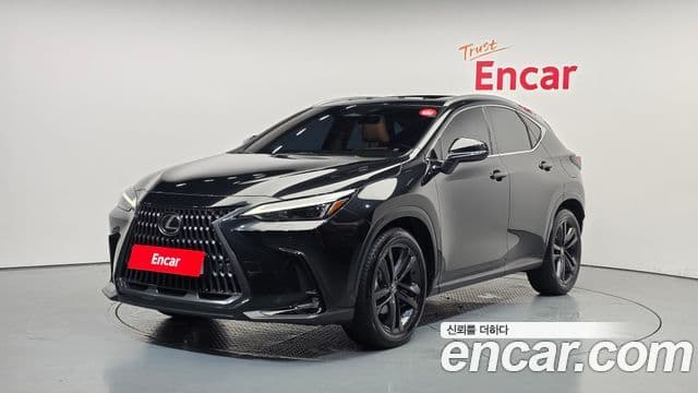 Lexus NX350h 2nd Gen 1