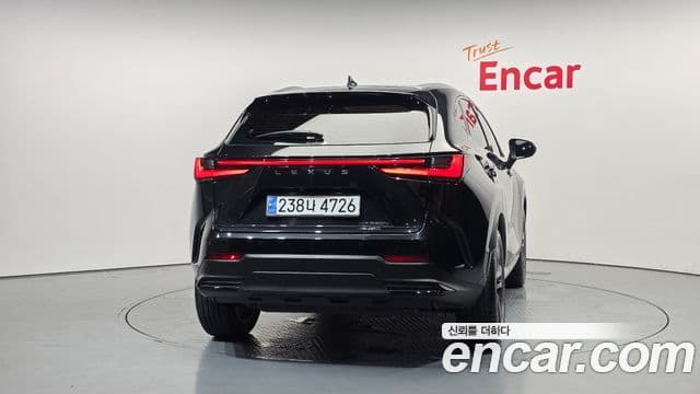 Lexus NX350h 2nd Gen 4