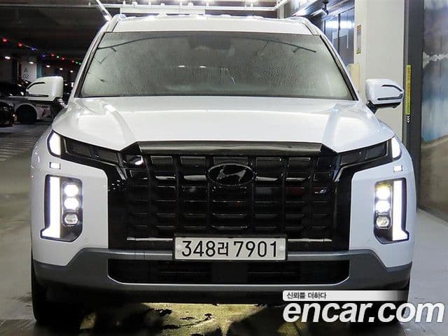 Hyundai The New Palisade 2