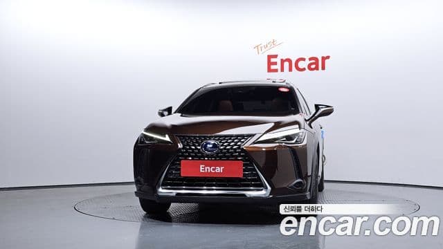 Lexus UX250h 3