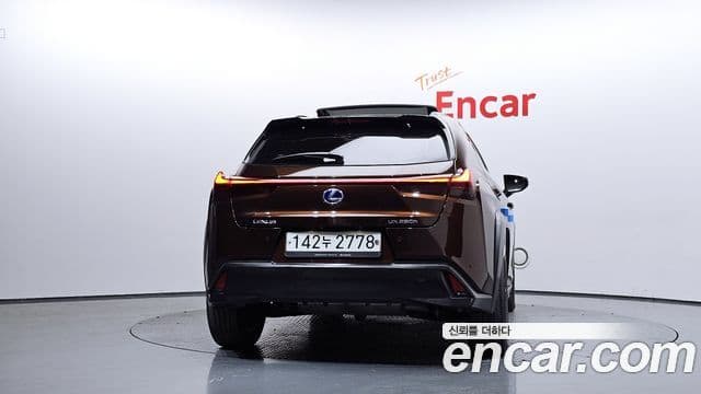 Lexus UX250h 4