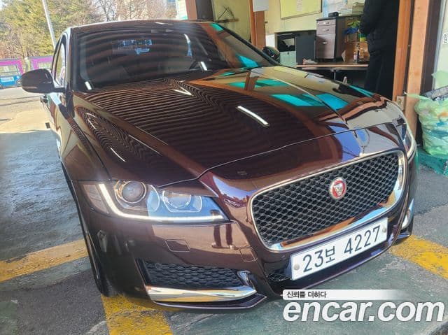 Jaguar XF (X260) 1