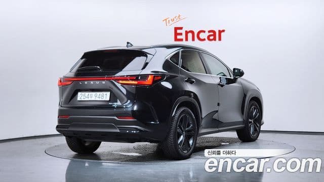 Lexus NX350h 2nd Gen 2