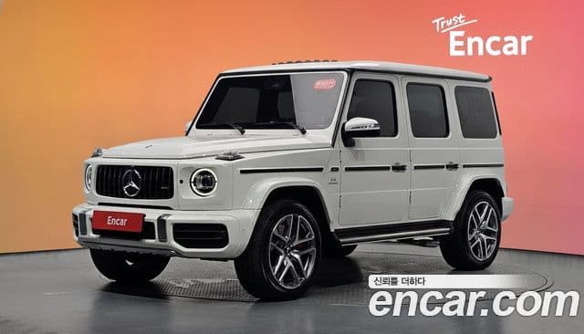 Mercedes-Benz G-Class W463b