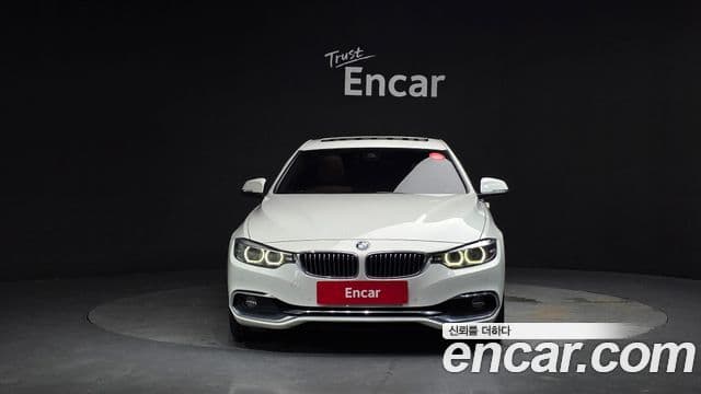 BMW 4 Series (F32) 3