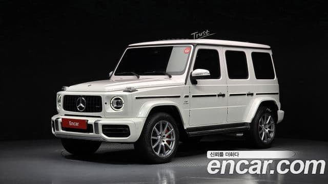 Mercedes-Benz G-Class W463b